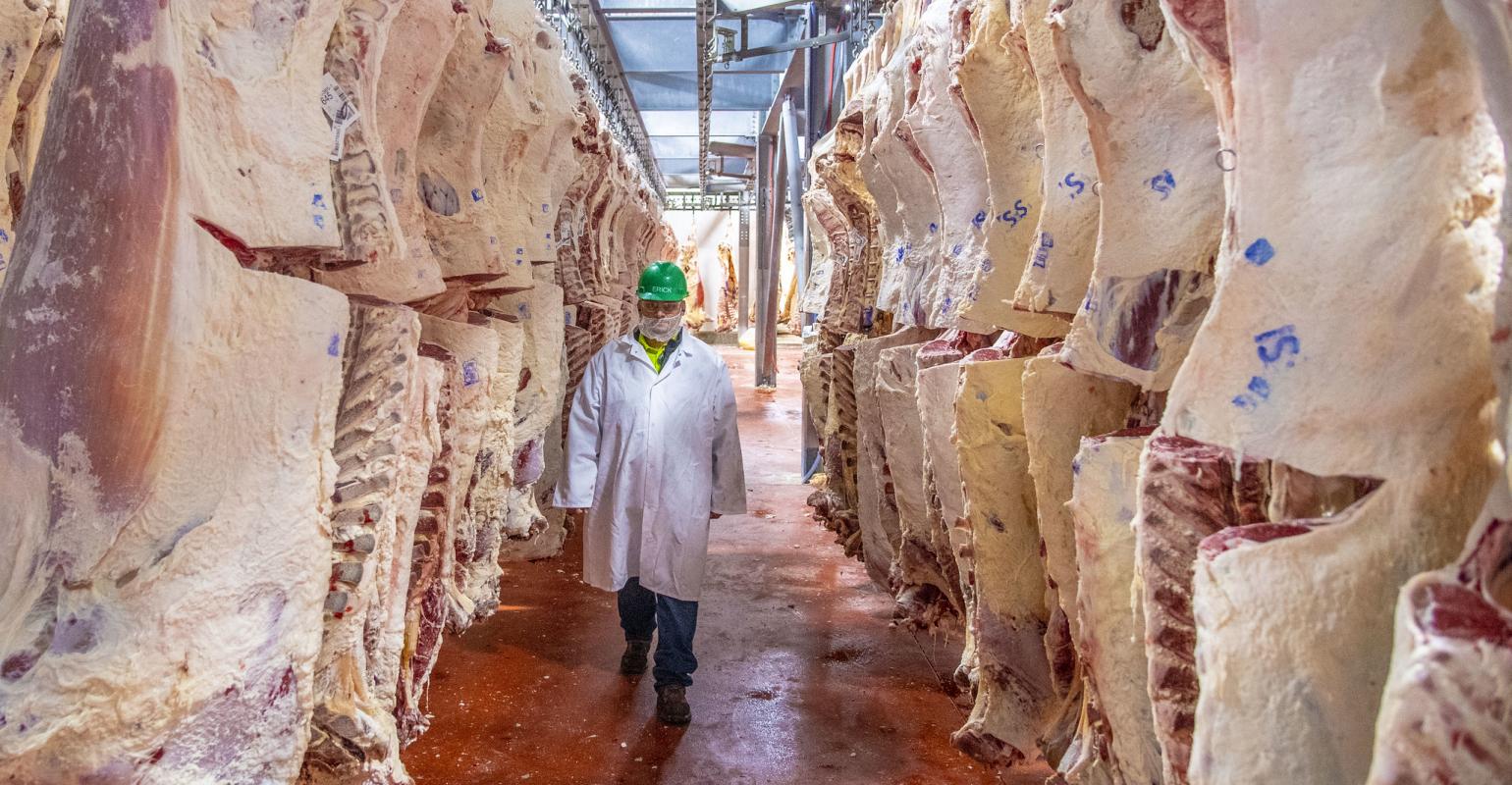 Final Grants Through the Meat and Poultry Processing Expansion Program